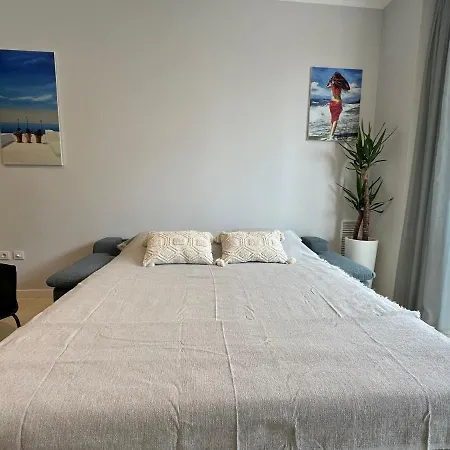 Reinapart Patacona 36 Valence